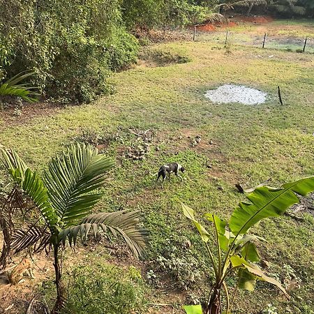 Hostelexp, Gokarna - A Slow-Paced Backpackers Community Buitenkant foto