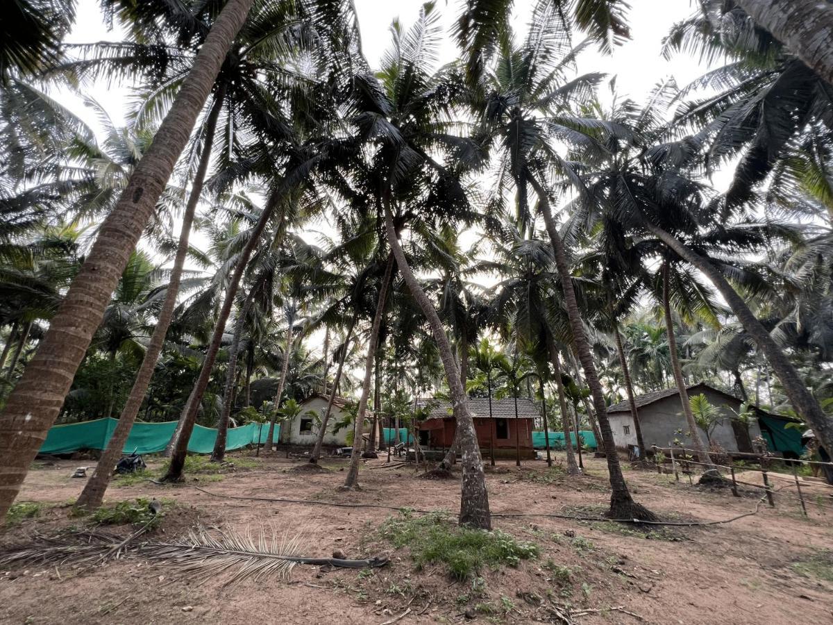 Hostelexp, Gokarna - A Slow-Paced Backpackers Community Buitenkant foto