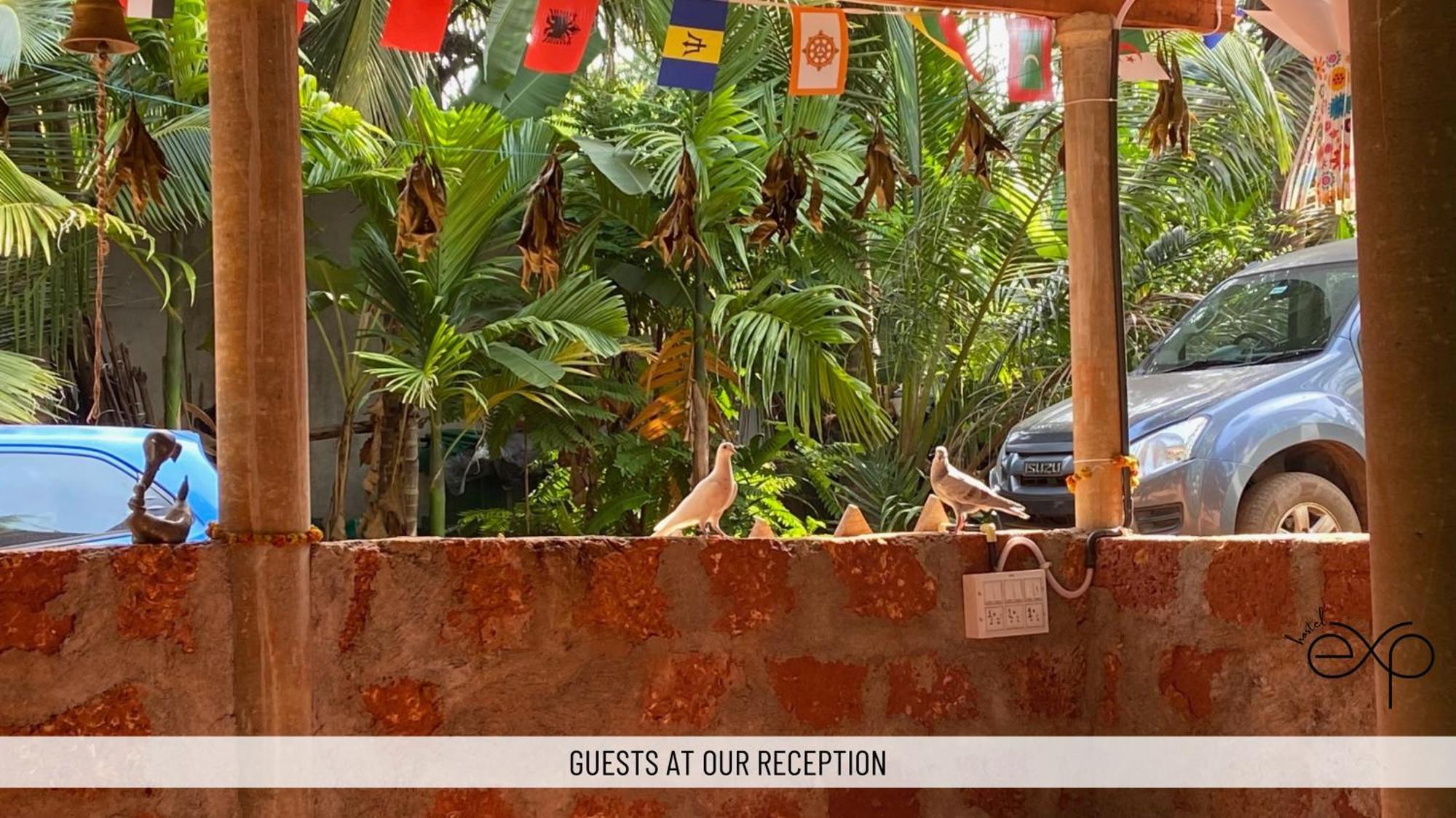 Hostelexp, Gokarna - A Slow-Paced Backpackers Community Buitenkant foto