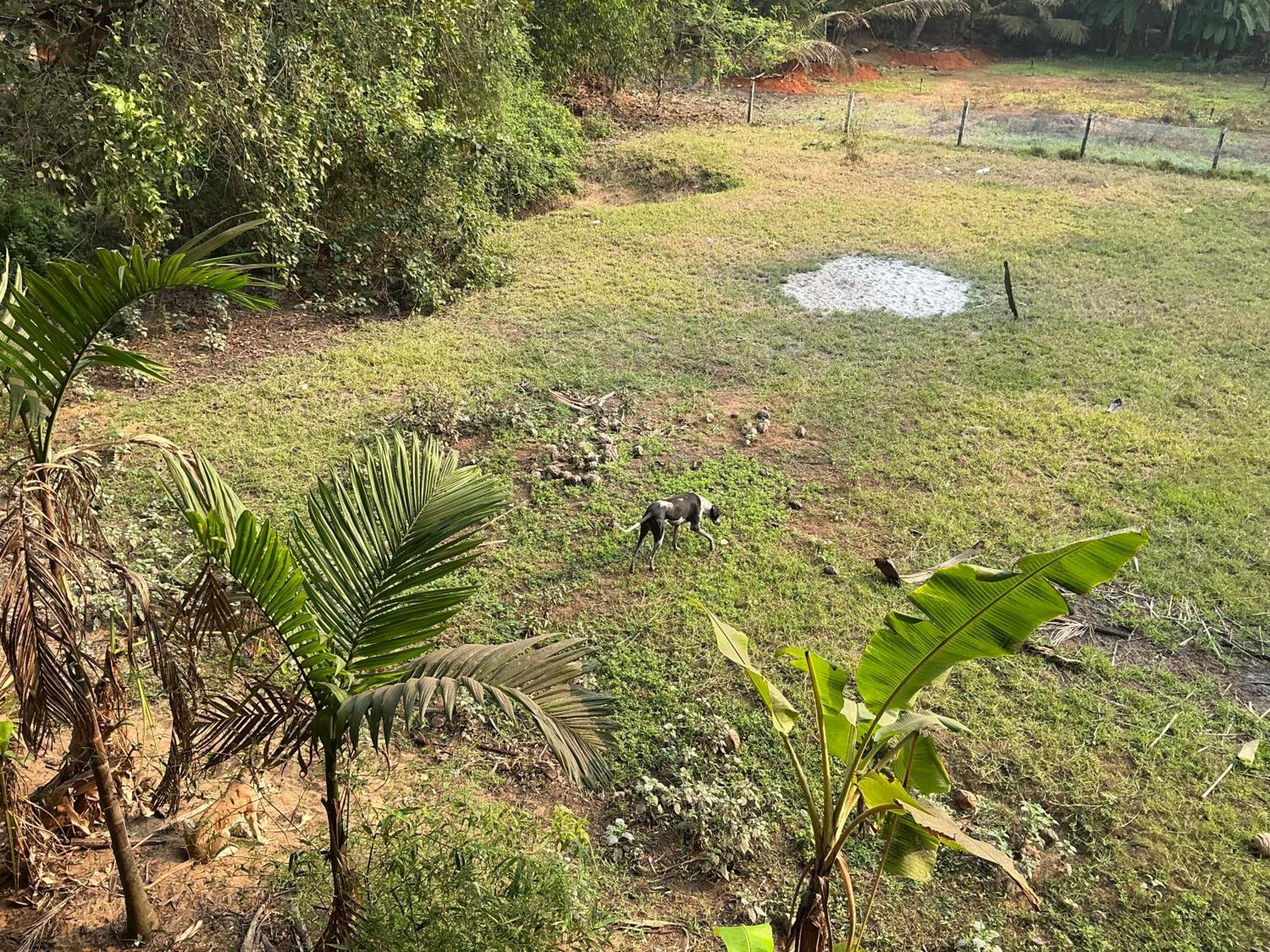 Hostelexp, Gokarna - A Slow-Paced Backpackers Community Buitenkant foto